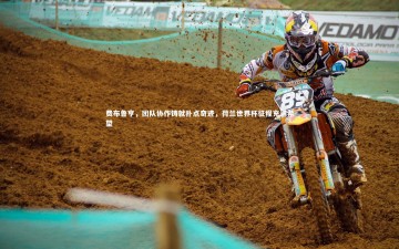 28圈-费布鲁亨，团队协作铸就扑点奇迹，荷兰世界杯征程充满希望